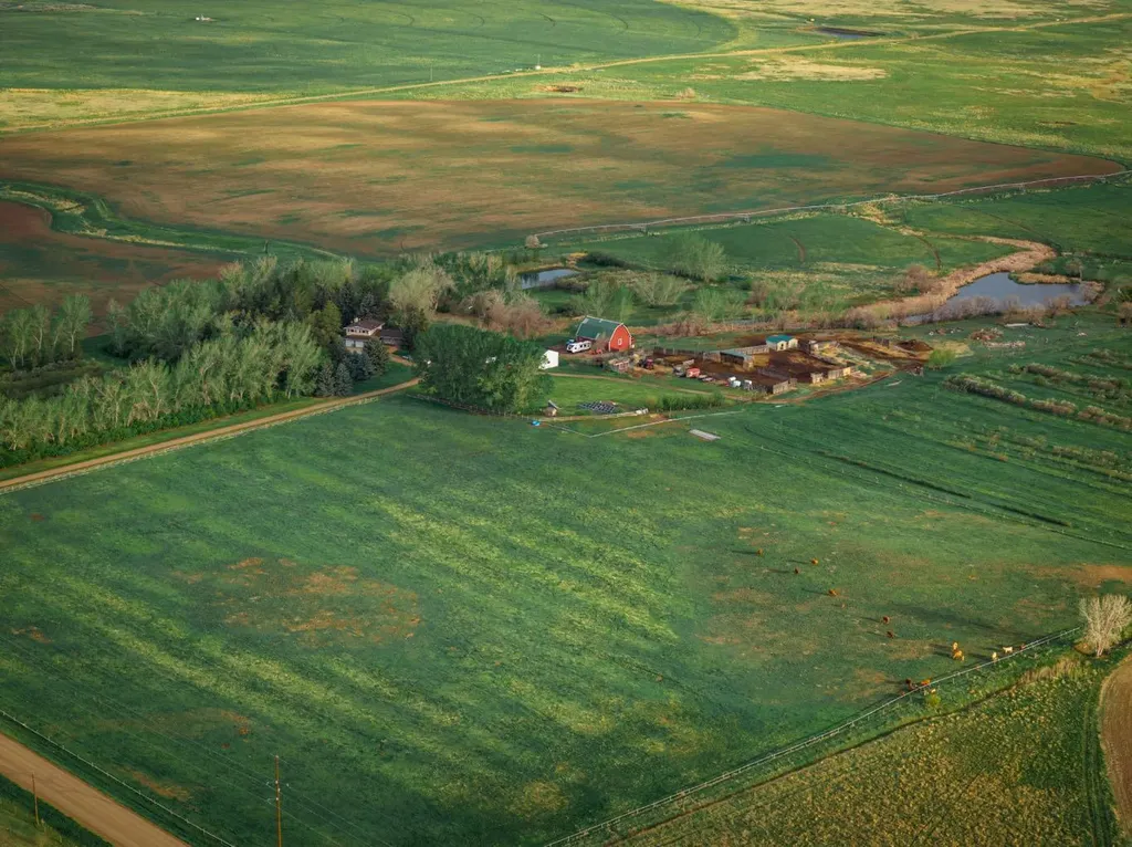 7022 Township Road 120 Rural Cypress County AB T1B 0L1