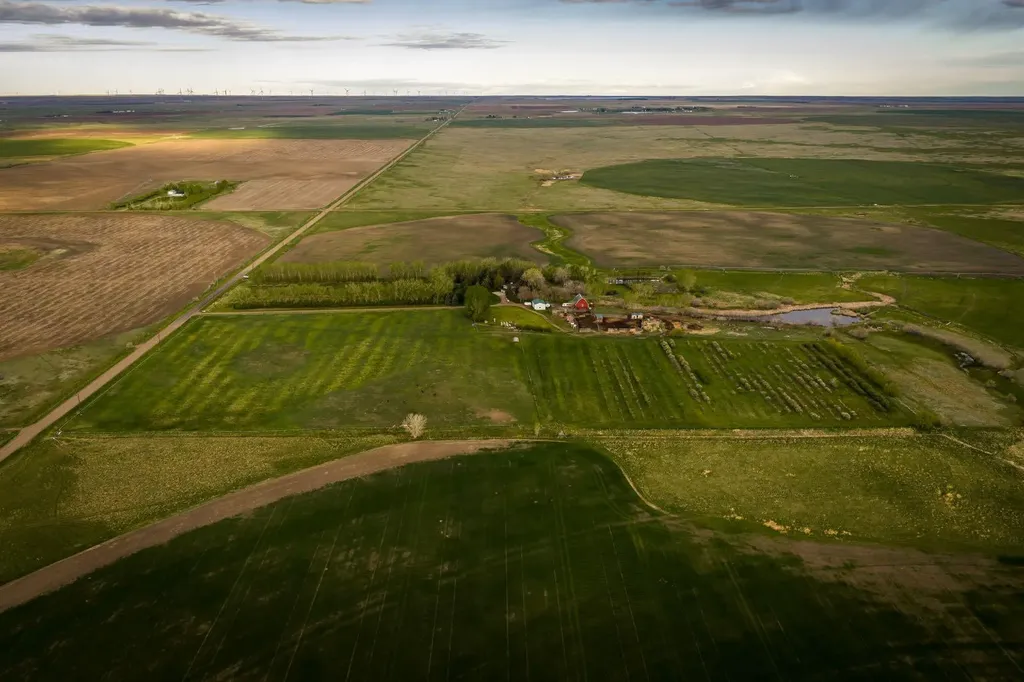 7022 Township Road 120 Rural Cypress County AB T1B 0L1