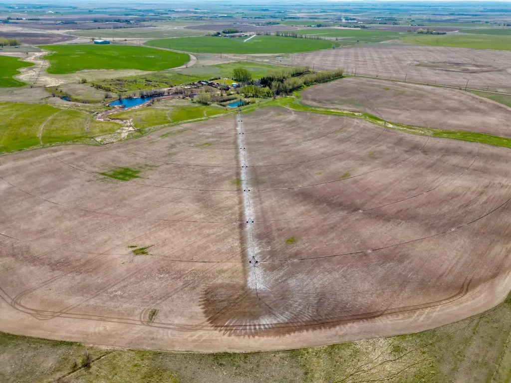 7022 Township Road 120 Rural Cypress County AB T1B 0L1