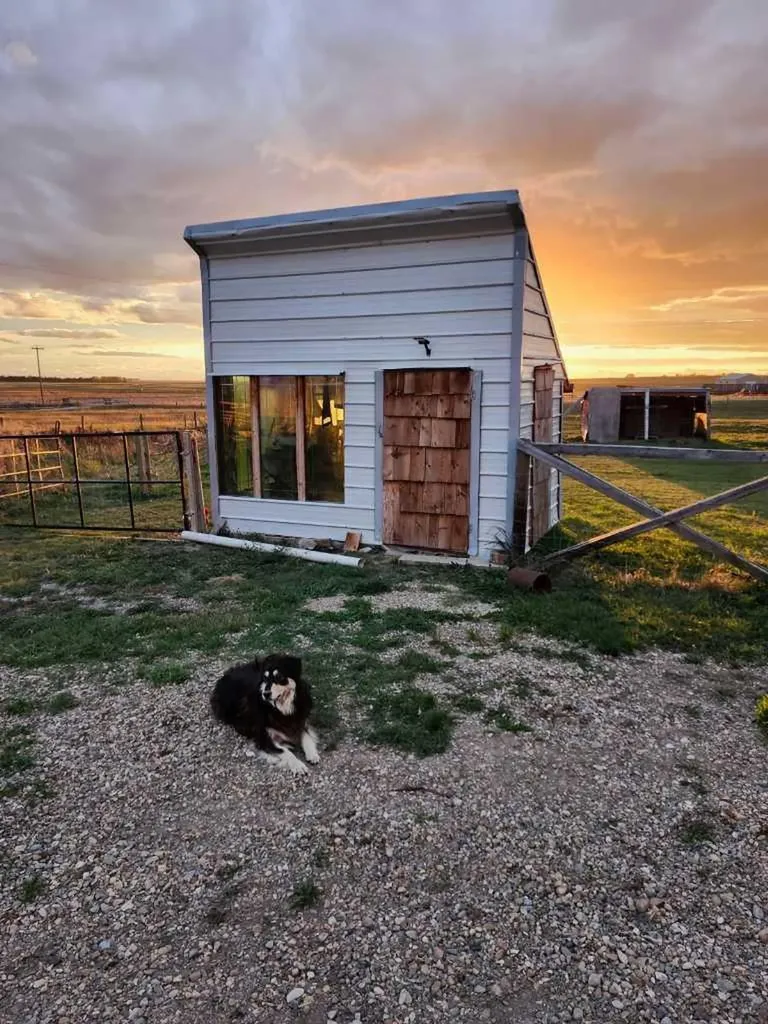 31035 Range Road 281 Rural Mountain View County AB T0M 0W0