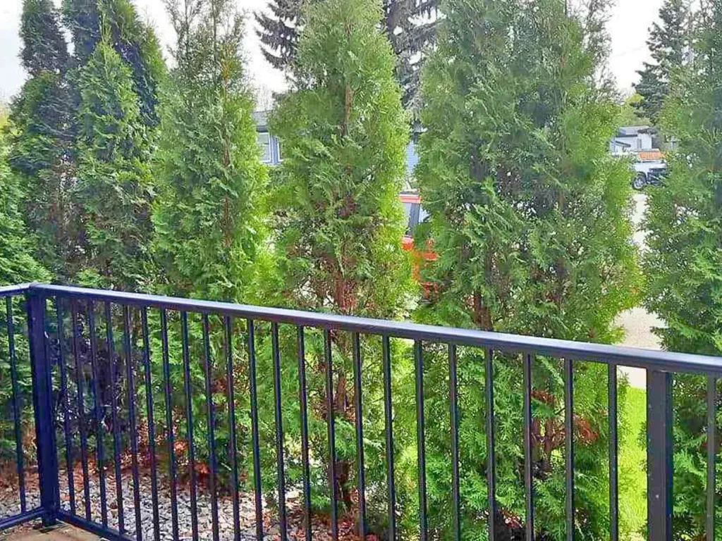 7031 Gray Drive Red Deer AB T4P 2B1