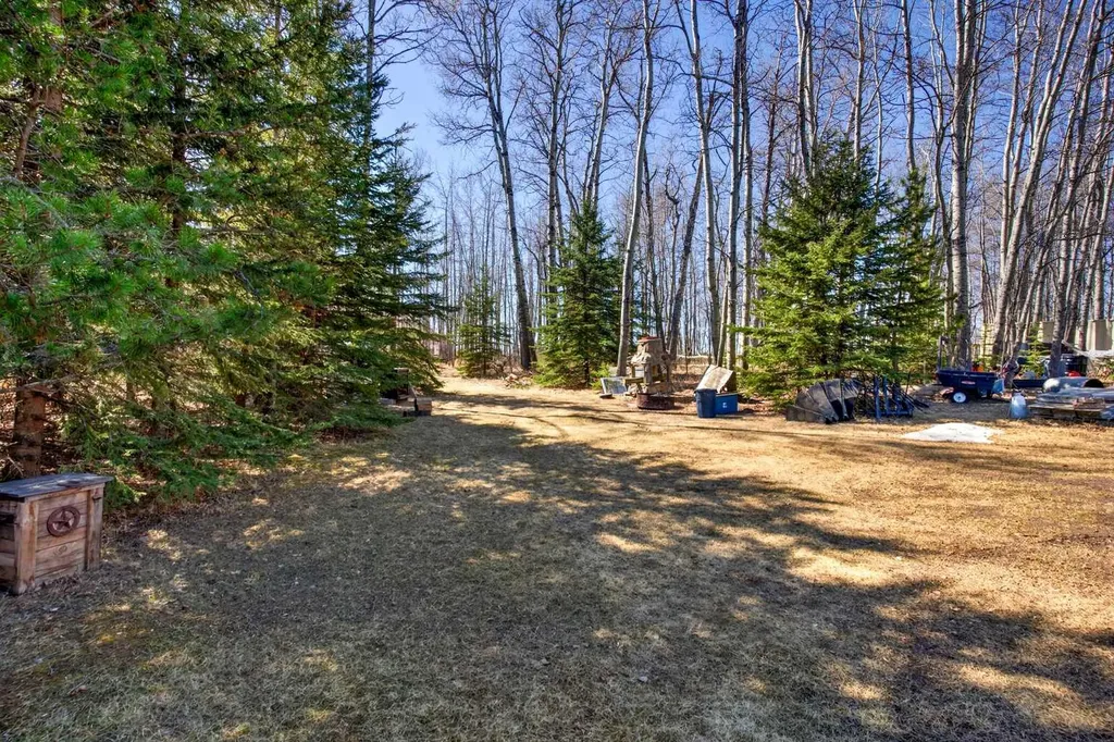4541 27 Highway Rural Mountain View County AB T0M 0X0