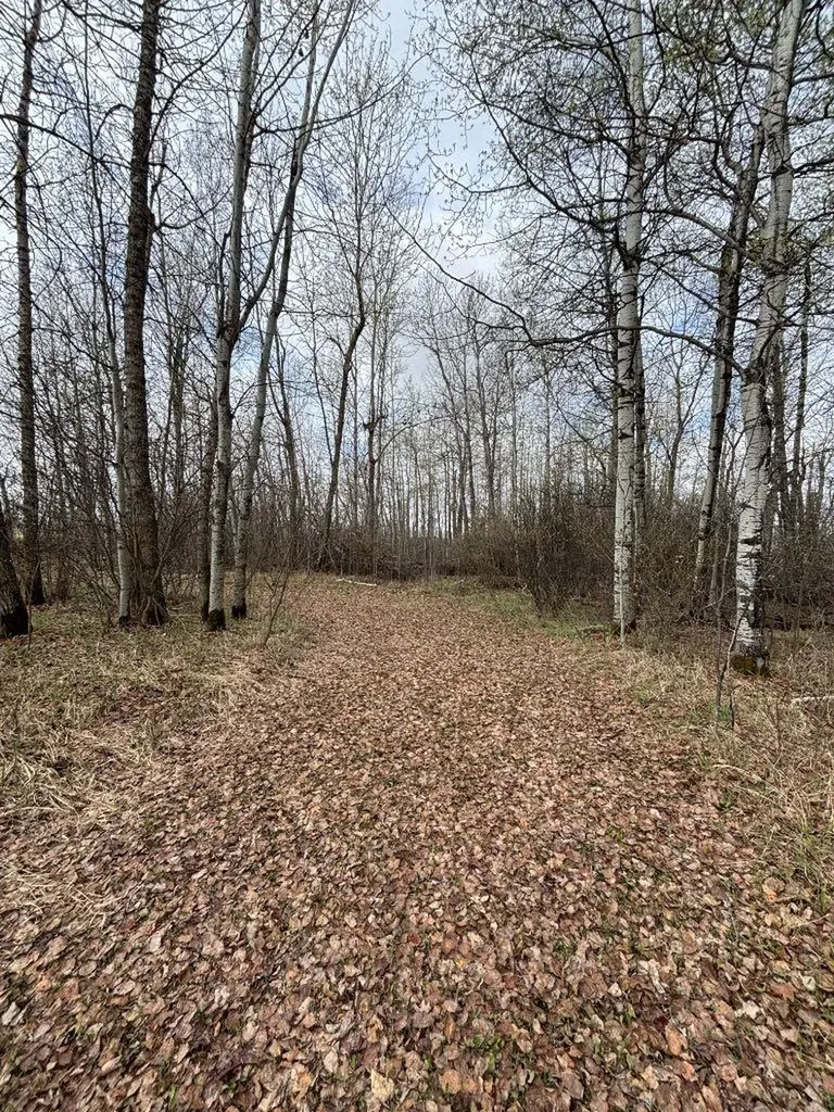 164075 Township Road 712 Rural Athabasca County AB T0A 3M0