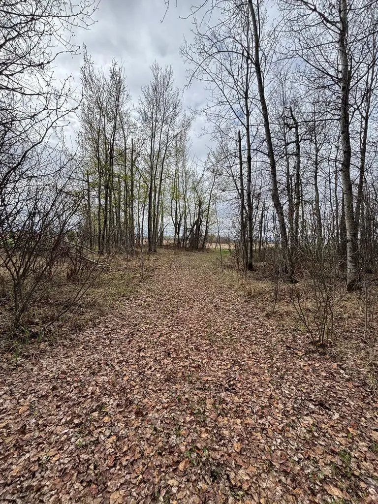 164075 Township Road 712 Rural Athabasca County AB T0A 3M0