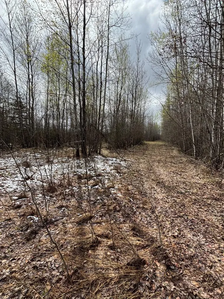 164075 Township Road 712 Rural Athabasca County AB T0A 3M0