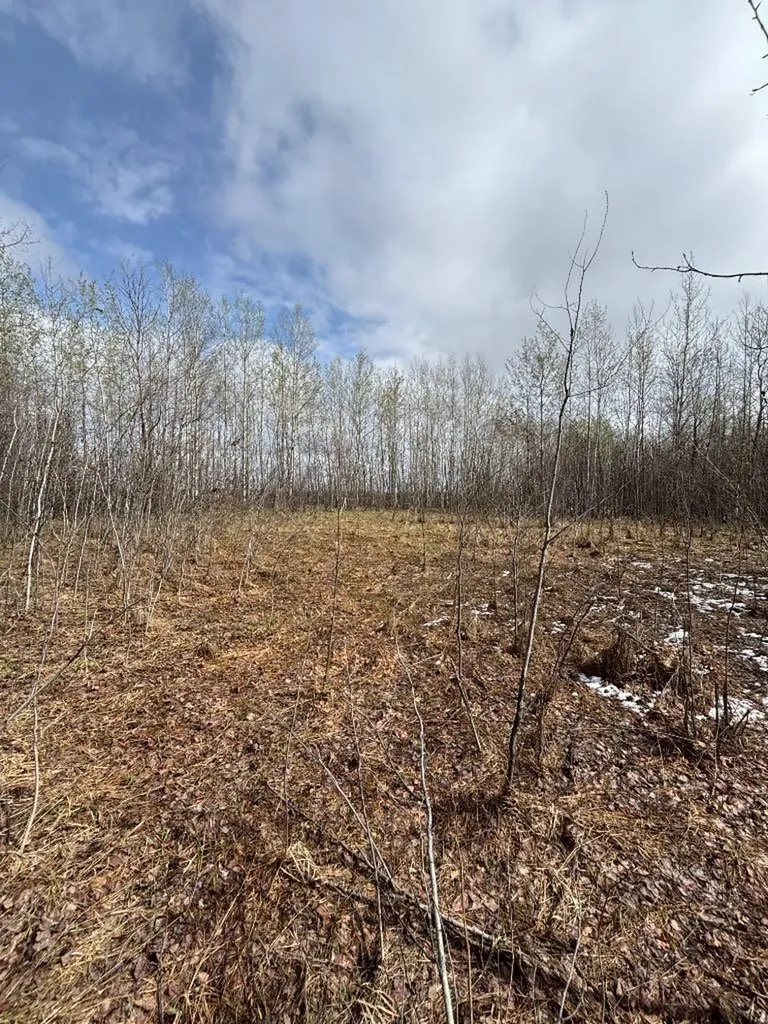 164075 Township Road 712 Rural Athabasca County AB T0A 3M0