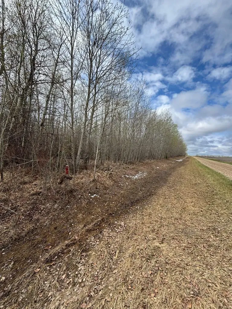 164075 Township Road 712 Rural Athabasca County AB T0A 3M0