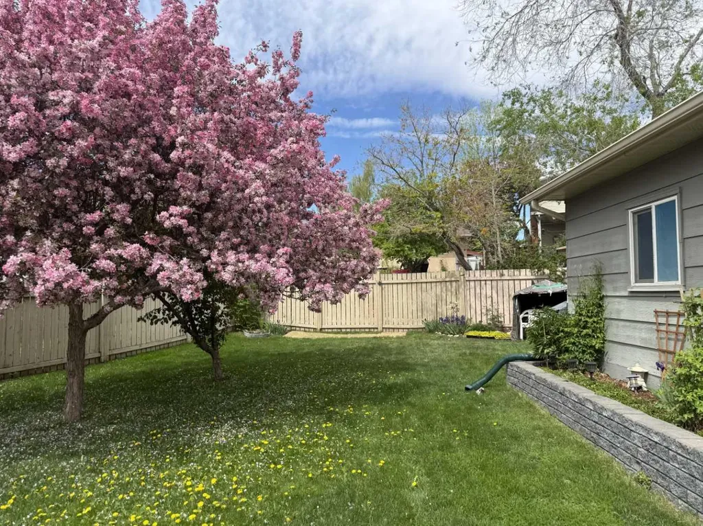 308 Cannington Place SW Calgary AB T2W 1Z9