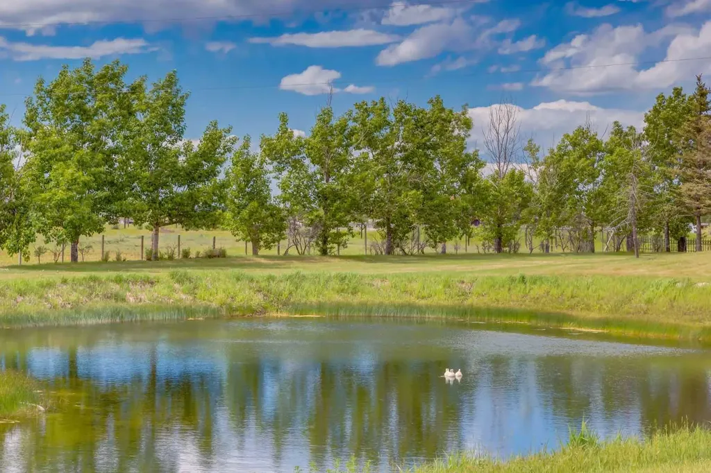 280203 Township Road 235a Rural Rocky View County AB T1X 2C6