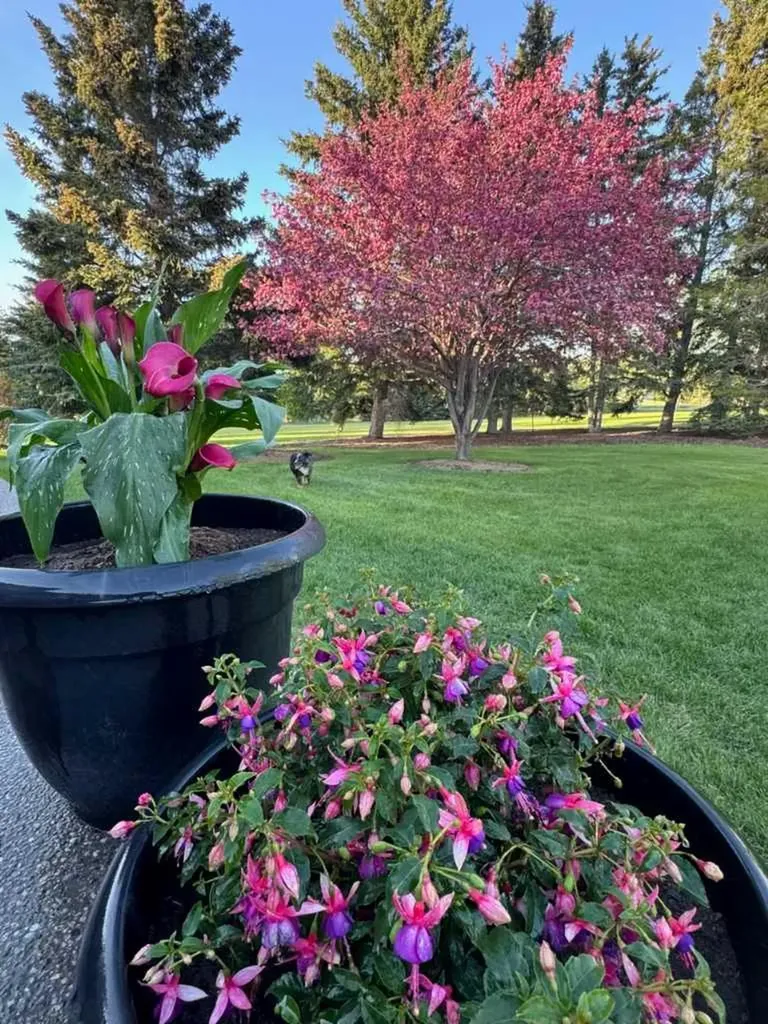 608 Bearspaw Village Road Rural Rocky View County AB T3L2P1