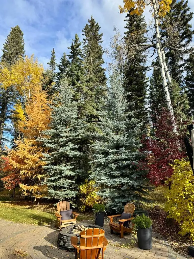 307 Hawk's Nest Hollow Rural Foothills County AB T0L 1W0