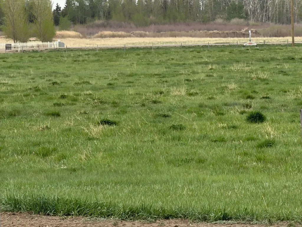 Near Trans Canada Hwy 1 Acres Rural Newell County Of AB T1R 1C3