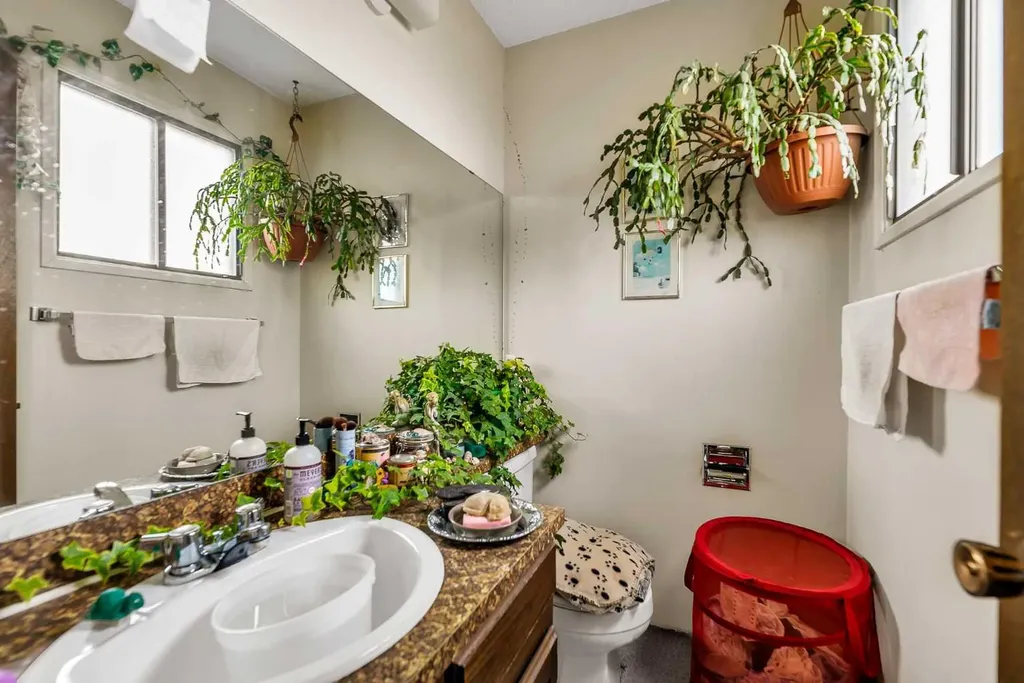 317 Templemont Place NE Calgary AB T1Y 5A7