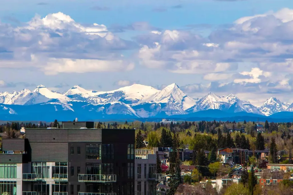 1111 10 Street SW Calgary AB T2R1E3