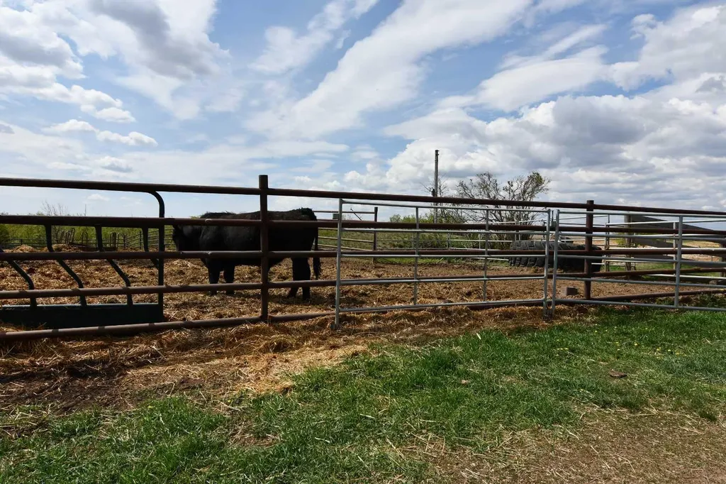 14123 Township Road 404 Rural Flagstaff County AB T0B 1N0