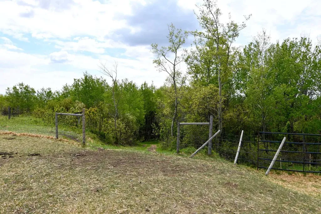 14123 Township Road 404 Rural Flagstaff County AB T0B 1N0