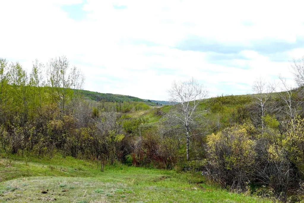 14123 Township Road 404 Rural Flagstaff County AB T0B 1N0
