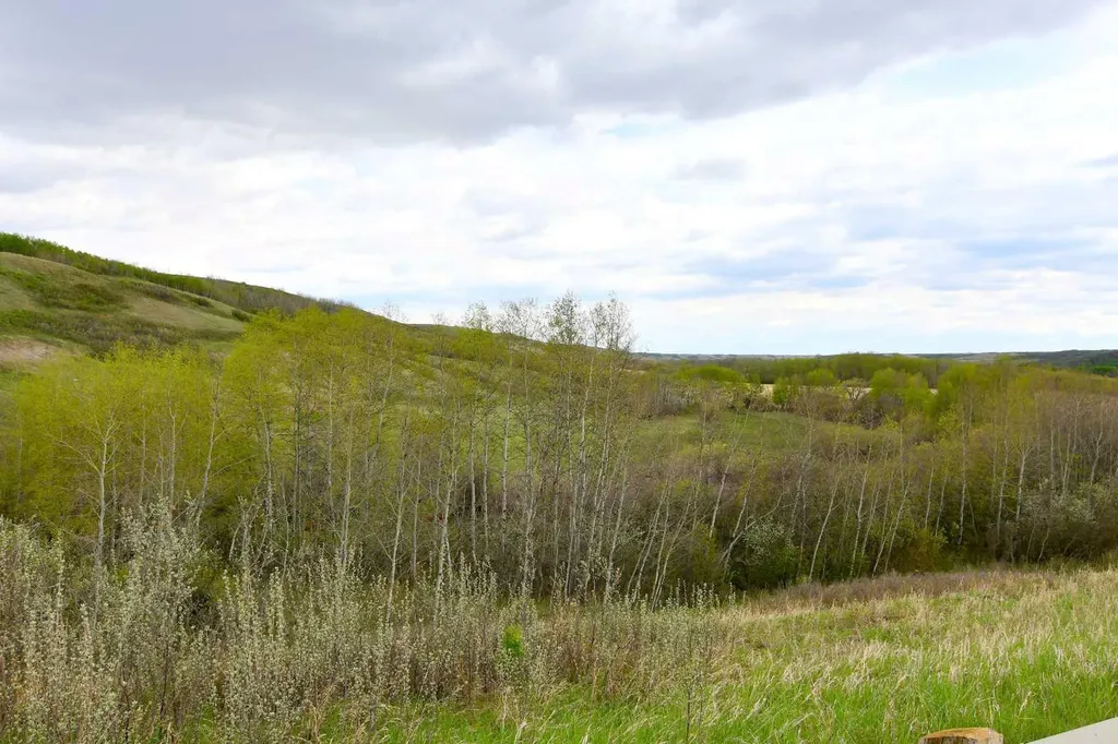 14123 Township Road 404 Rural Flagstaff County AB T0B 1N0
