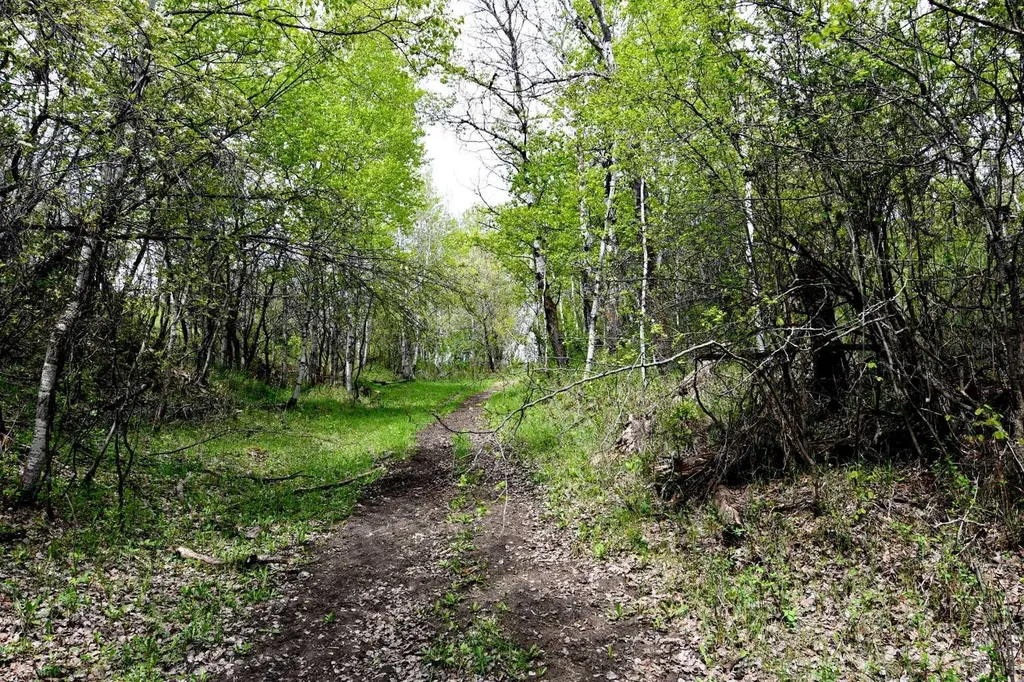 14123 Township Road 404 Rural Flagstaff County AB T0B 1N0
