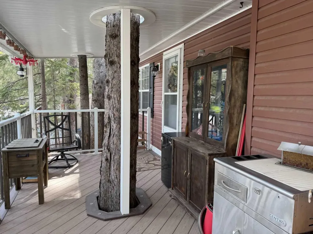 1 Timber Trail Rural Mountain View County AB T0M 1X0