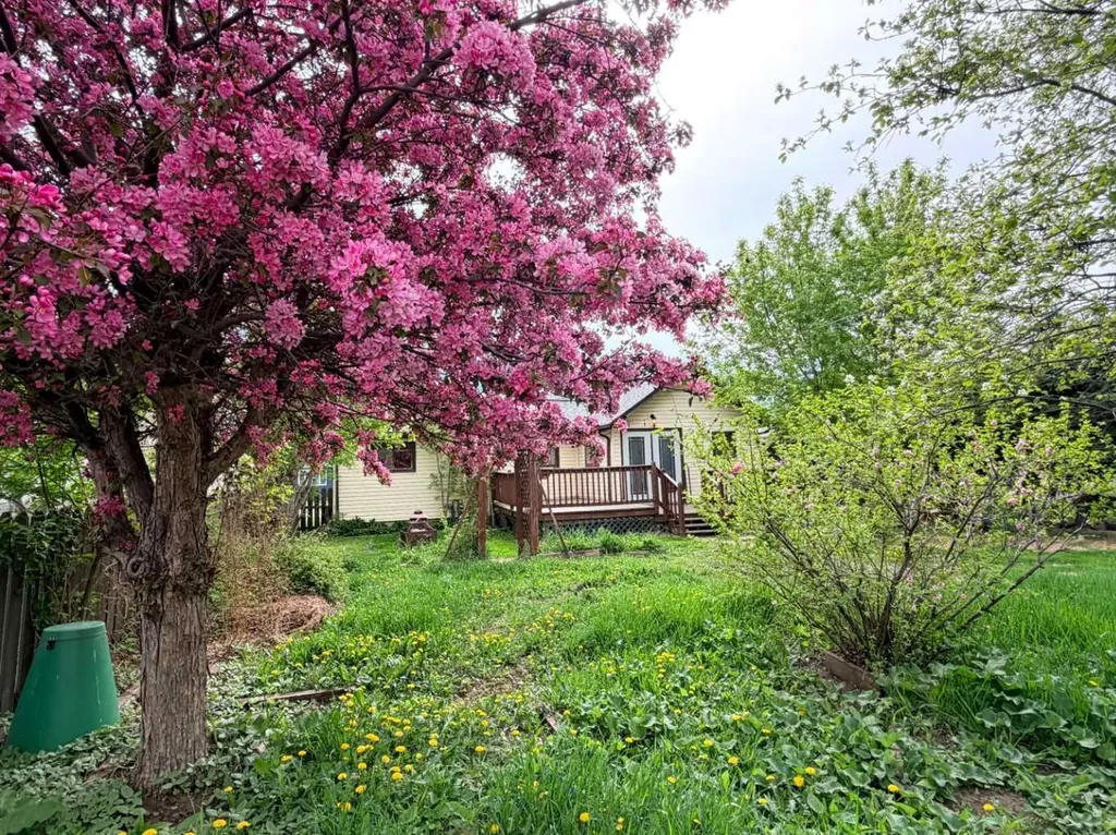 5112 47 Street Rocky Mountain House AB T0M 0C0