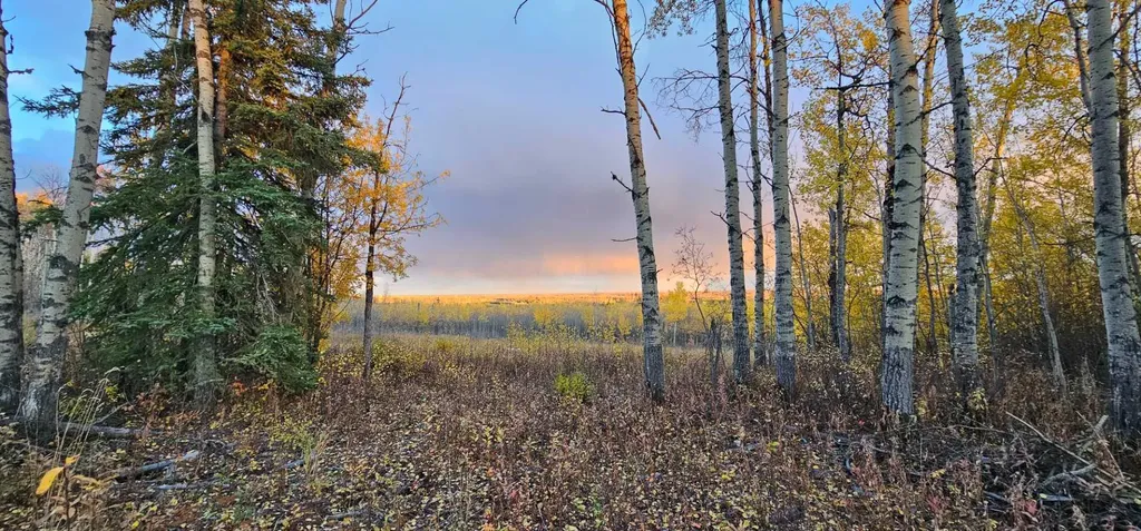 SE-27-79-9-W6 92 Range Road Rural Saddle Hills County AB T0H 0G0