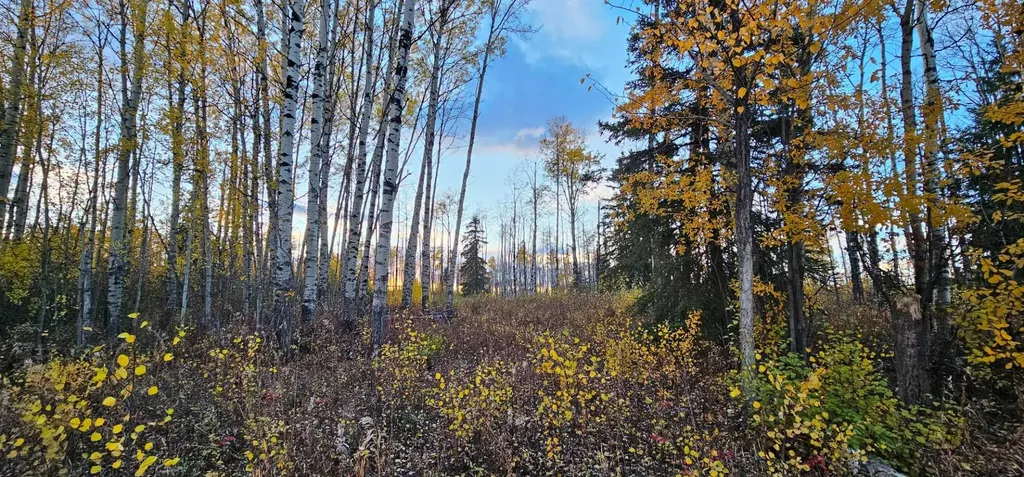 SE-27-79-9-W6 92 Range Road Rural Saddle Hills County AB T0H 0G0