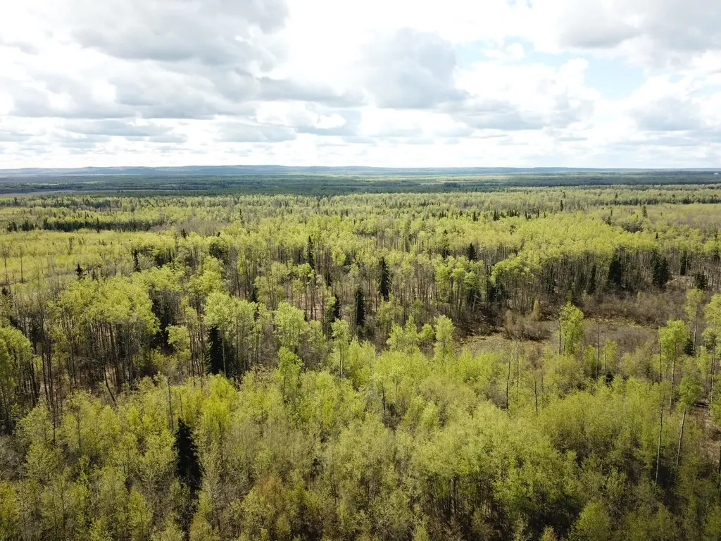 SE-27-79-9-W6 92 Range Road Rural Saddle Hills County AB T0H 0G0