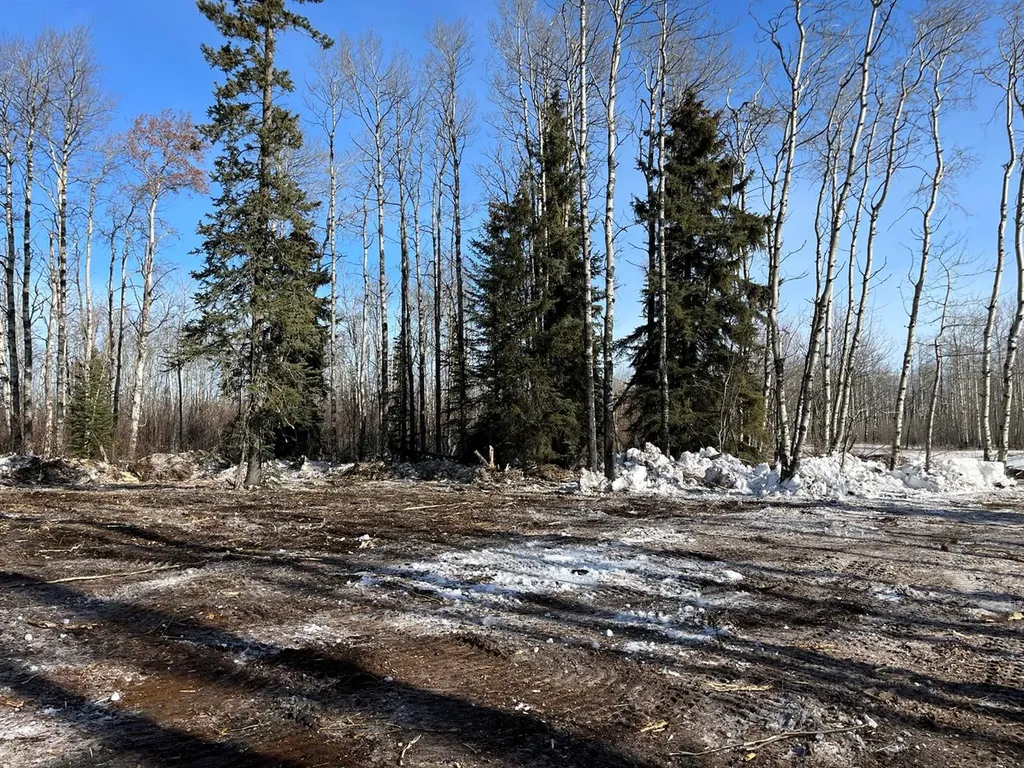 SE-27-79-9-W6 92 Range Road Rural Saddle Hills County AB T0H 0G0