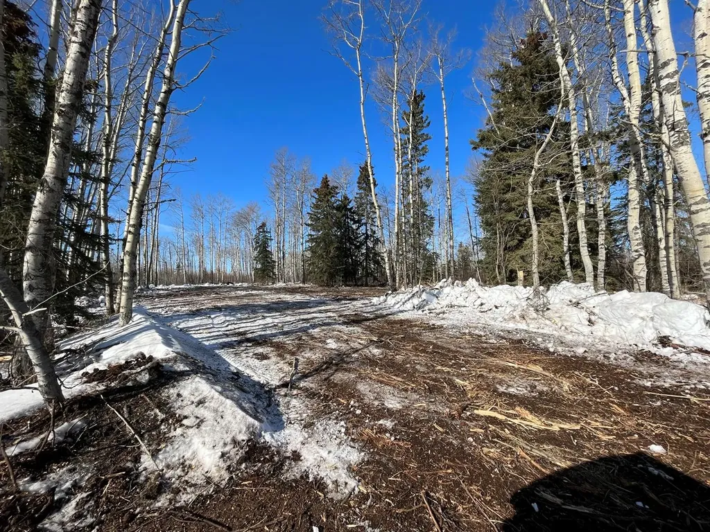 SE-27-79-9-W6 92 Range Road Rural Saddle Hills County AB T0H 0G0