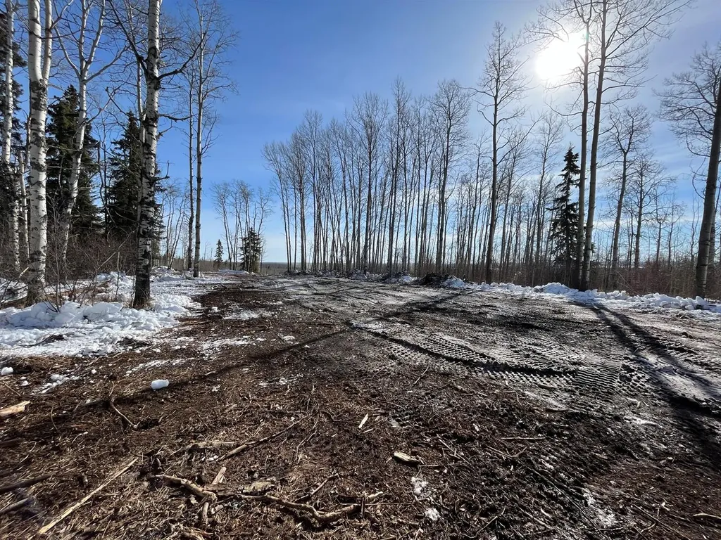 SE-27-79-9-W6 92 Range Road Rural Saddle Hills County AB T0H 0G0