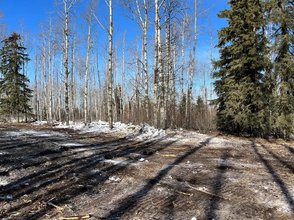 SE-27-79-9-W6 92 Range Road Rural Saddle Hills County AB T0H 0G0