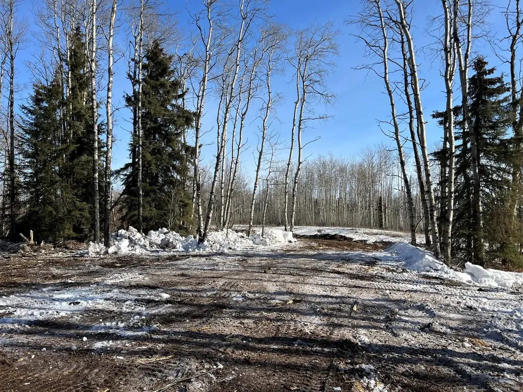 SE-27-79-9-W6 92 Range Road Rural Saddle Hills County AB T0H 0G0