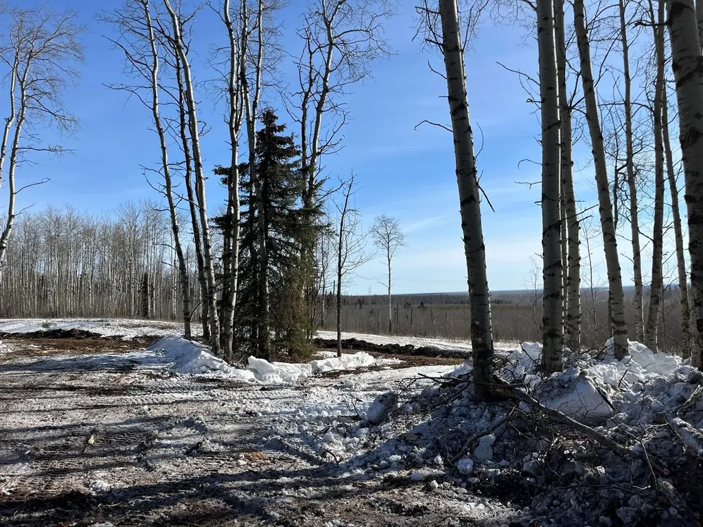 SE-27-79-9-W6 92 Range Road Rural Saddle Hills County AB T0H 0G0