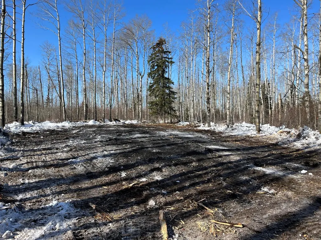 SE-27-79-9-W6 92 Range Road Rural Saddle Hills County AB T0H 0G0