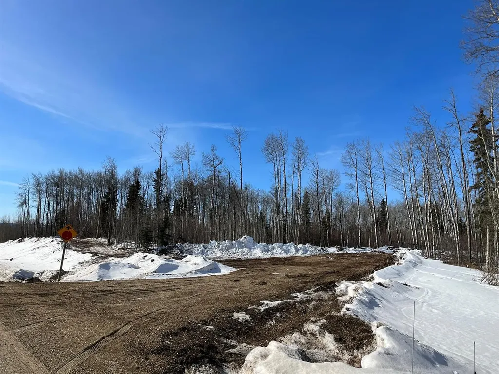 SE-27-79-9-W6 92 Range Road Rural Saddle Hills County AB T0H 0G0
