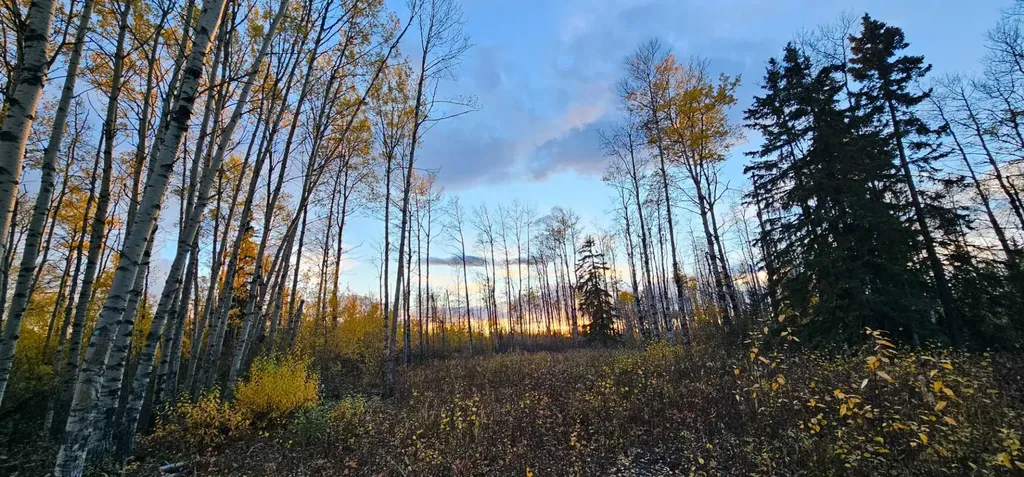 SE-27-79-9-W6 92 Range Road Rural Saddle Hills County AB T0H 0G0