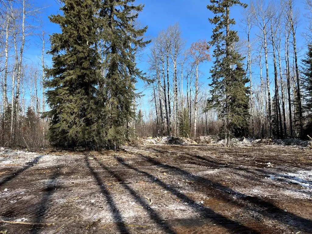 SE-27-79-9-W6 92 Range Road Rural Saddle Hills County AB T0H 0G0