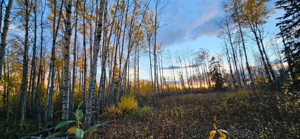 SE-27-79-9-W6 92 Range Road Rural Saddle Hills County AB T0H 0G0