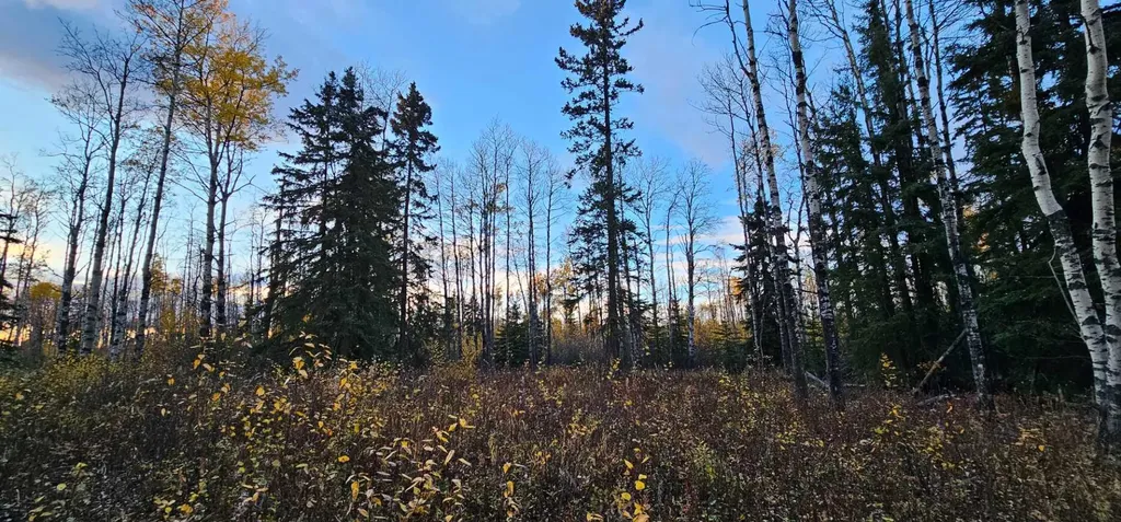 SE-27-79-9-W6 92 Range Road Rural Saddle Hills County AB T0H 0G0