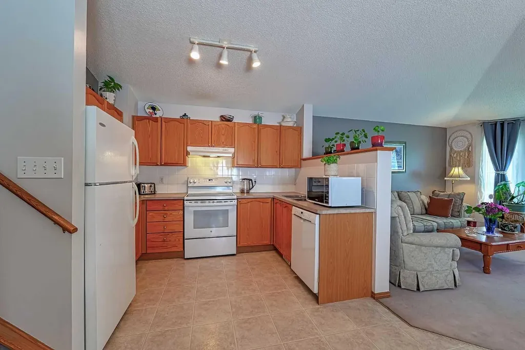 234 Martinvalley Mews NE Calgary AB T3J 4W3