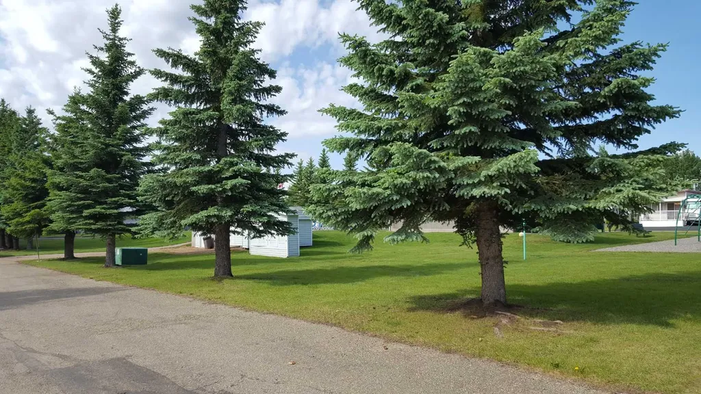 17 Points West Resort Sylvan Lake AB T4S 1T3