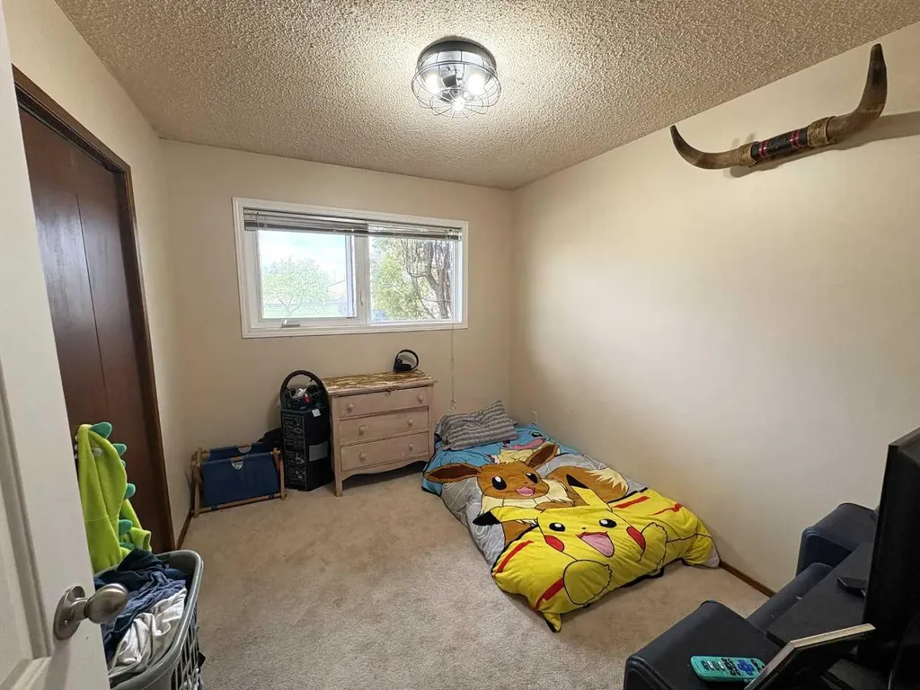 5602 47 Avenue W Forestburg AB T0B 1N0