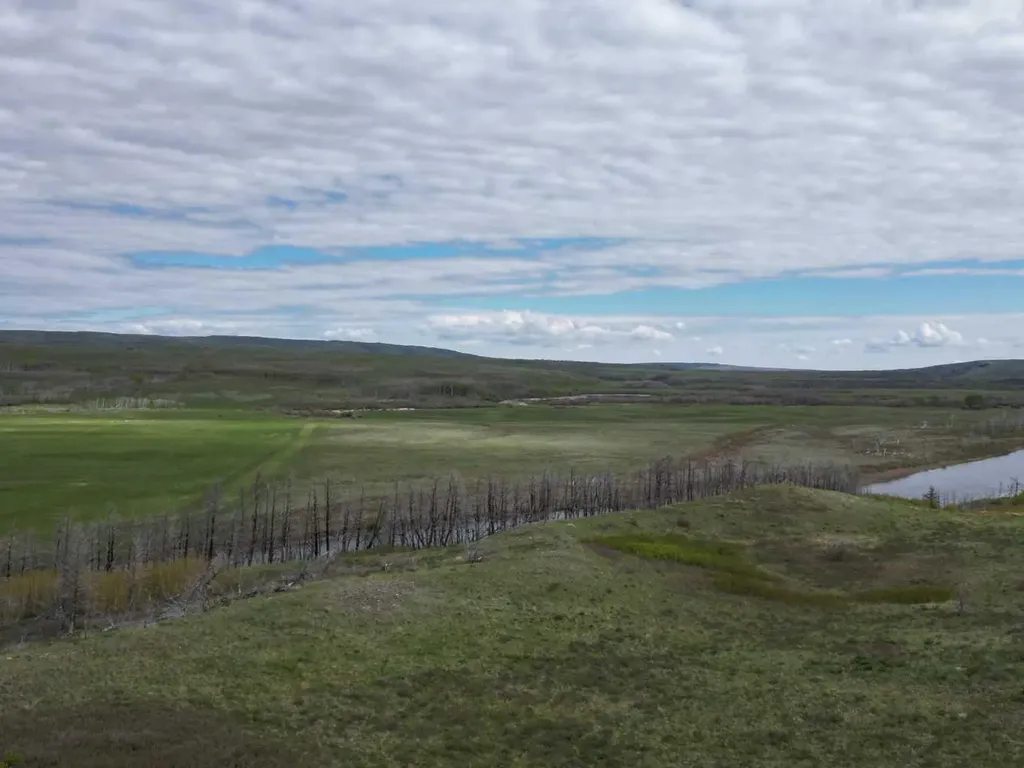 1 Paradise Drive Rural Cardston County AB T0K 2M0