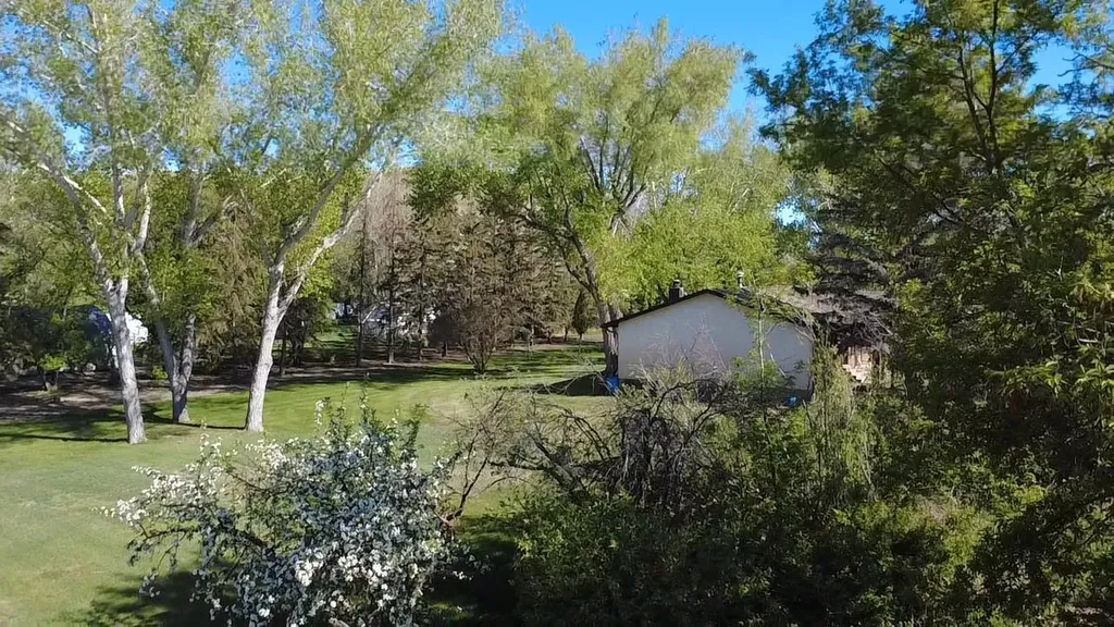 31 Larch Avenue Drumheller AB T0J0Y1