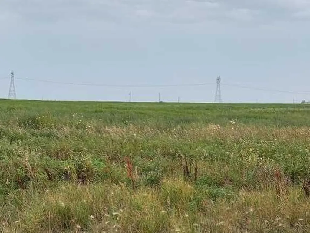 242069 Vale View Road Rural Rocky View County AB T1X 2G4