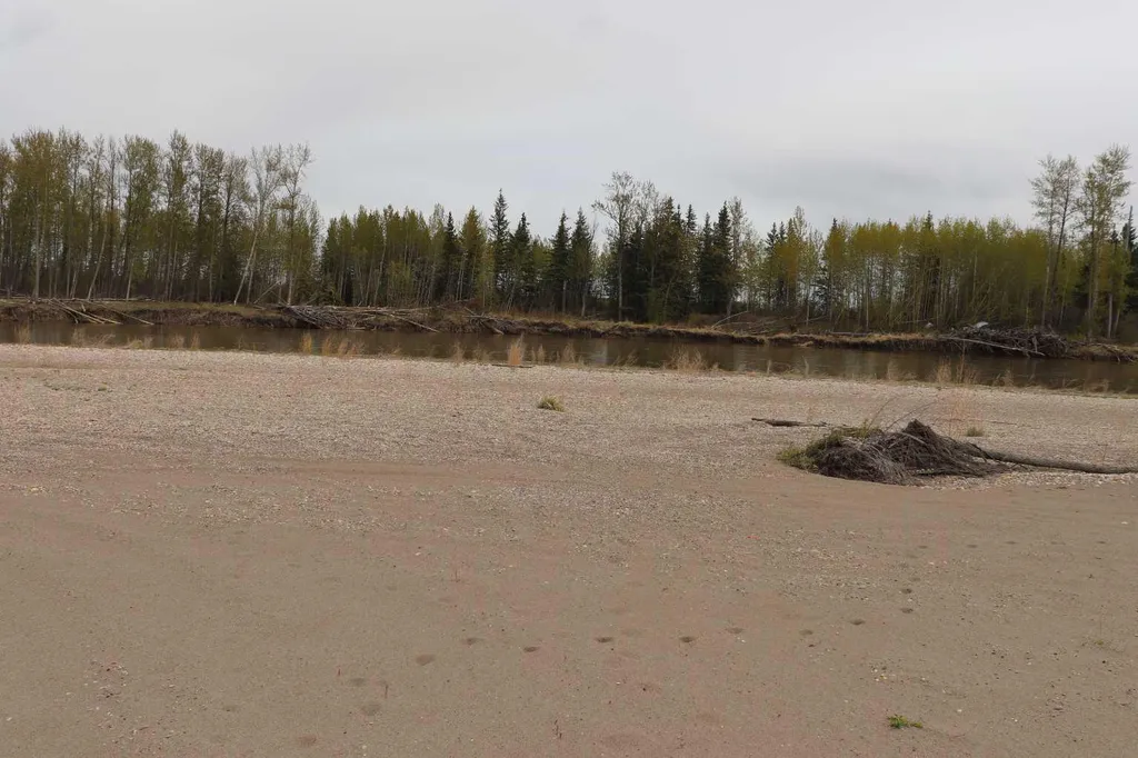 54525 Range Road 142b Rural Yellowhead County AB T7E 3Z4