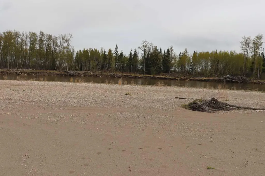 54525 Range Road 142b Rural Yellowhead County AB T7E 3Z4