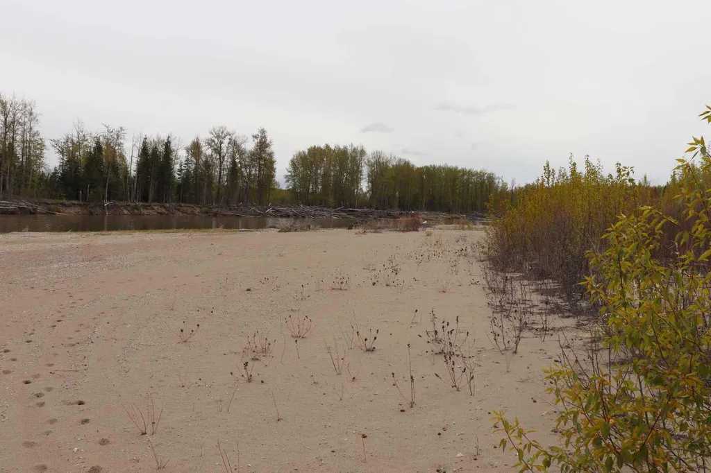 54525 Range Road 142b Rural Yellowhead County AB T7E 3Z4