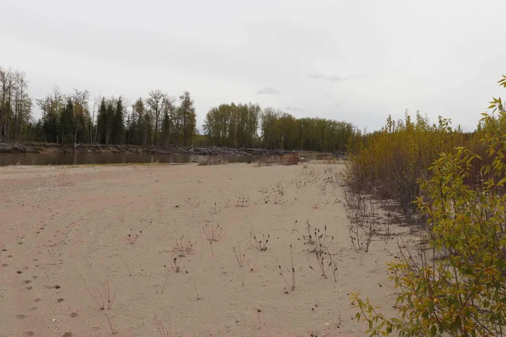 54525 Range Road 142b Rural Yellowhead County AB T7E 3Z4